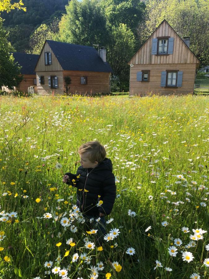 Les Chalets D'Arrens Eksteriør bilde